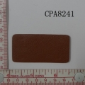 CPA8241