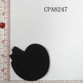 CPA8247