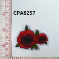 CPA8257