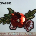 CPA8281