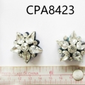 CPA8423