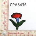 CPA8436