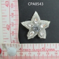 CPA8543