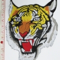 CPA8558
