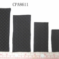 CPA8611