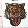 CPA8629