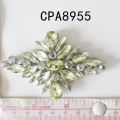 CPA8955