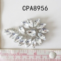 CPA8956