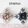 CPA8964
