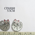 CPA9169