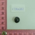 CTR0231