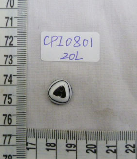 CPI0801