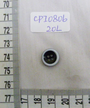 CPI0806