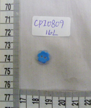 CPI0809