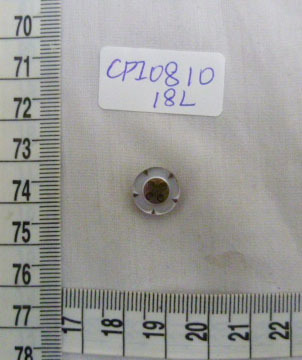 CPI0810