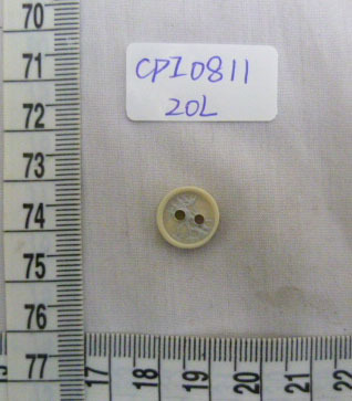 CPI0811