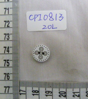 CPI0813