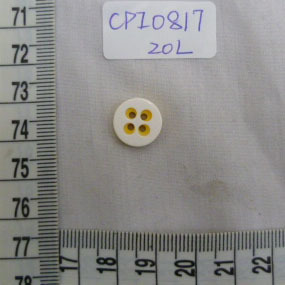 CPI0817