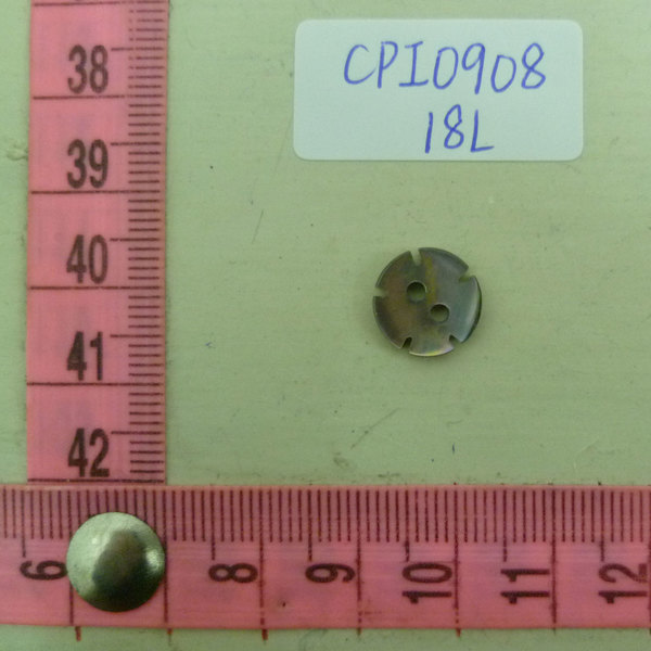 CPI0908