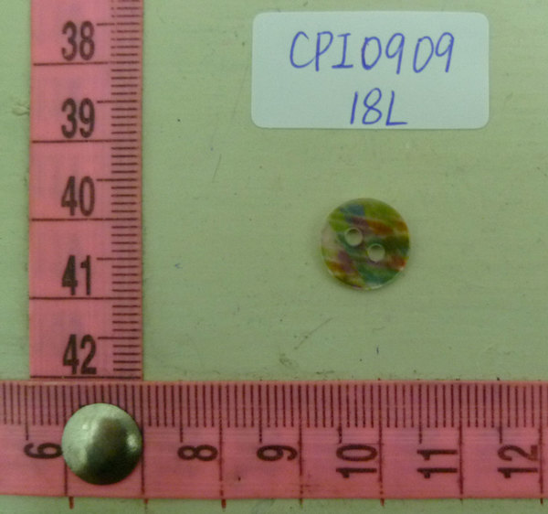 CPI0909