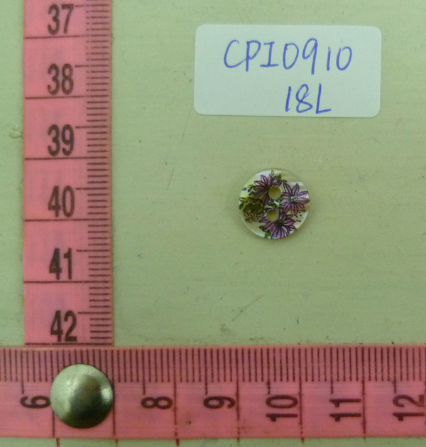 CPI0910