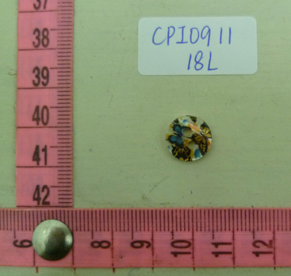 CPI0911
