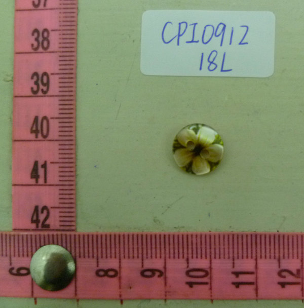 CPI0912