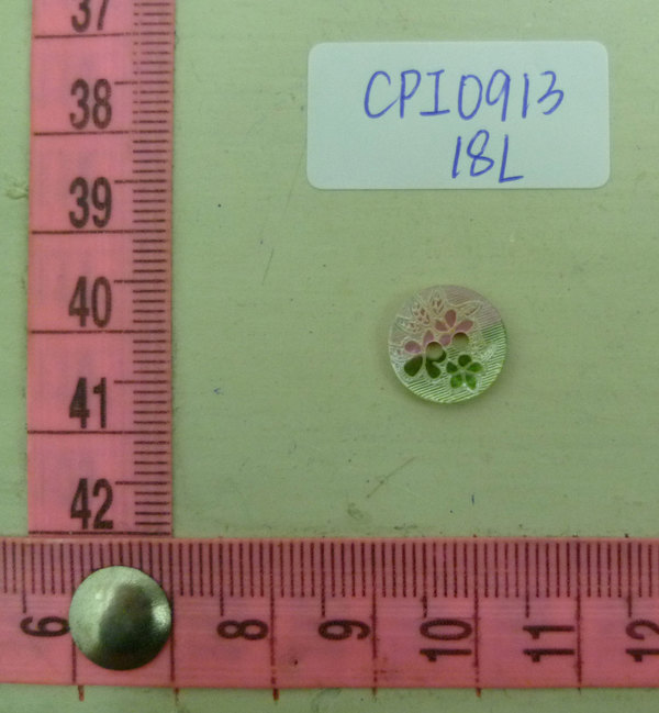 CPI0913