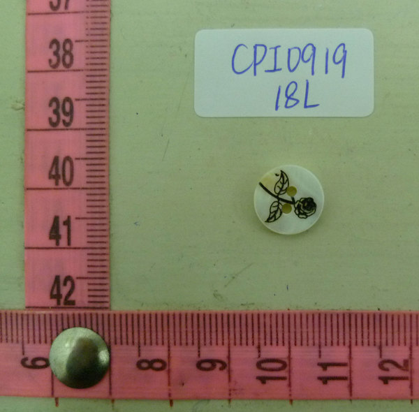 CPI0919