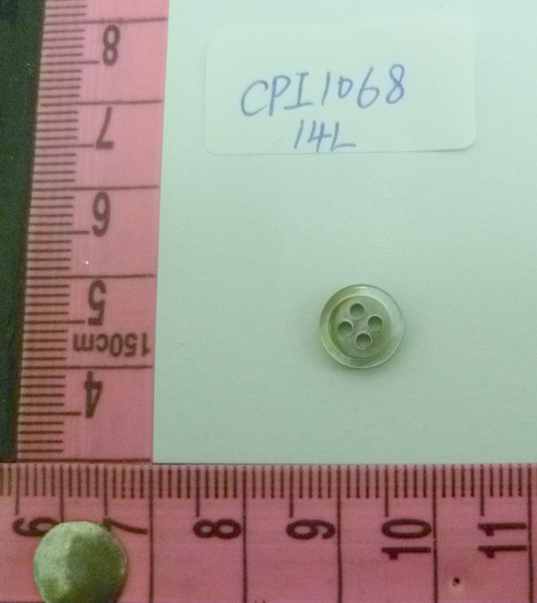 CPI1068