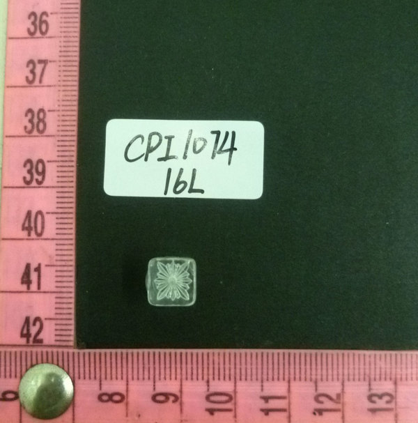 CPI1074