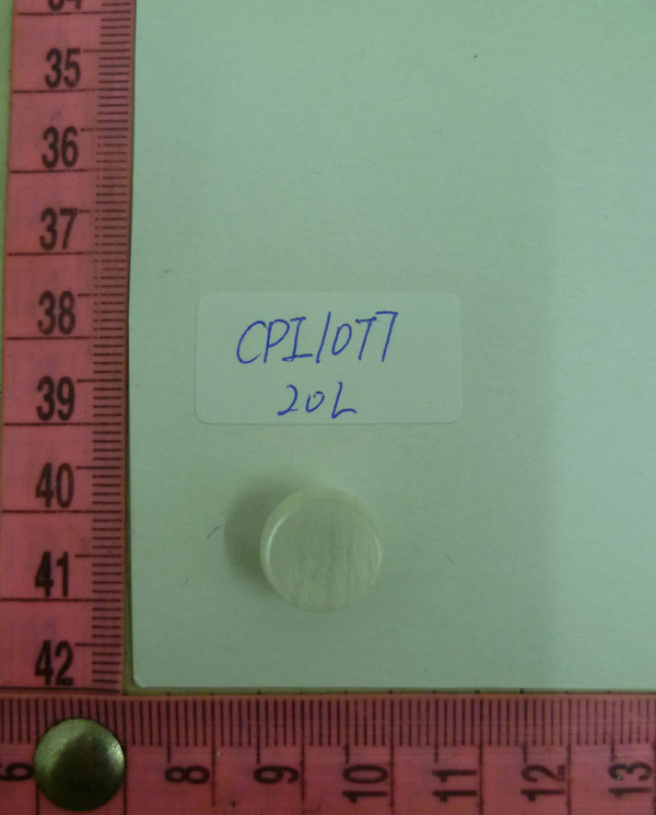 CPI1077