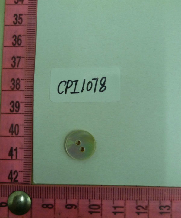 CPI1078