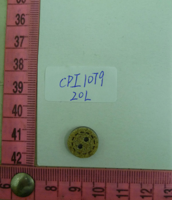 CPI1079