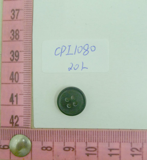 CPI1080