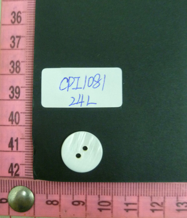 CPI1081