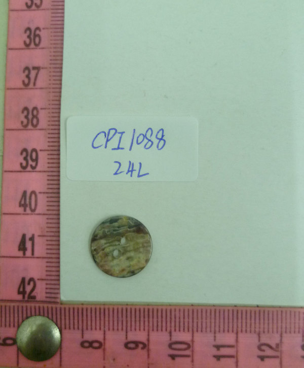 CPI1088