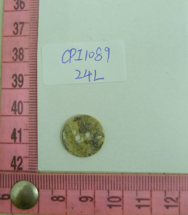 CPI1089