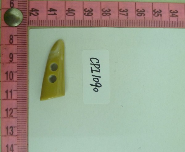 CPI1090