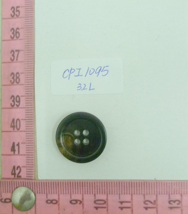 CPI1095