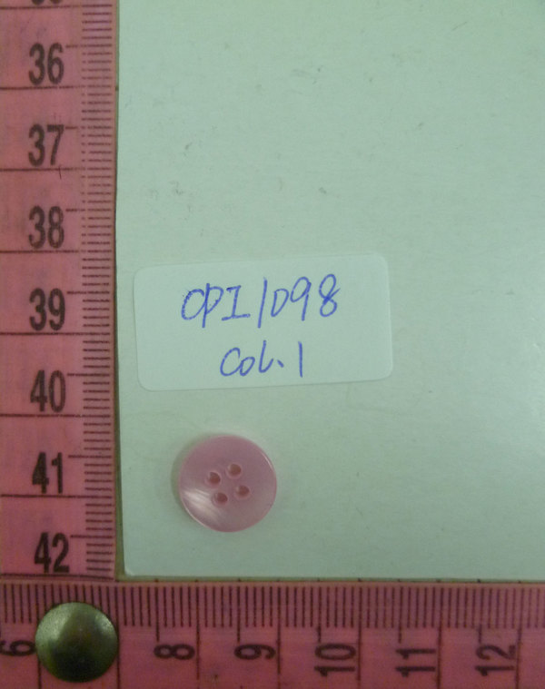 CPI1098