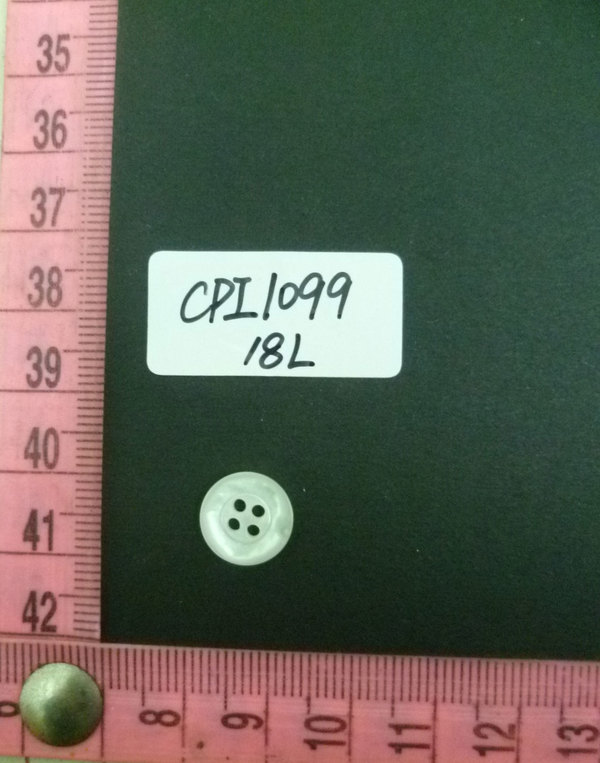 CPI1099