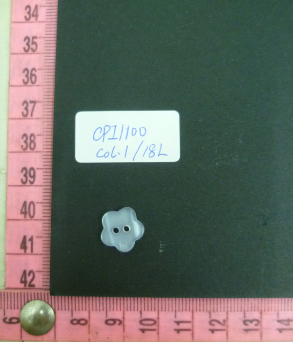 CPI1100