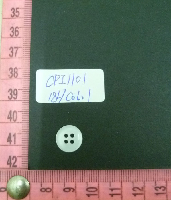 CPI1101