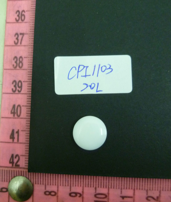 CPI1103