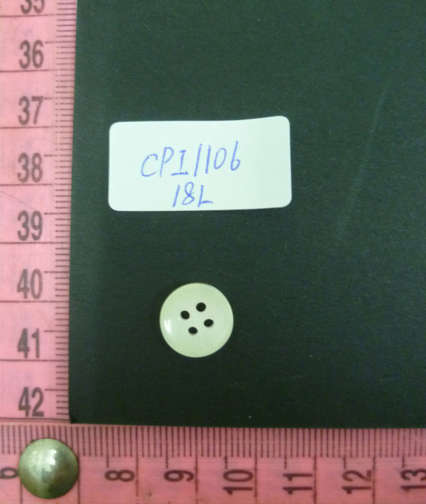 CPI1106