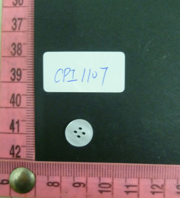 CPI1107