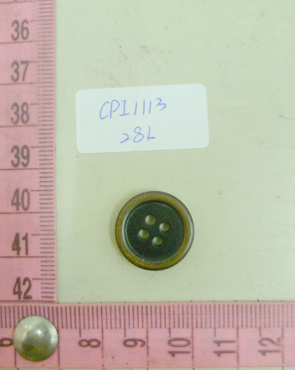 CPI1113