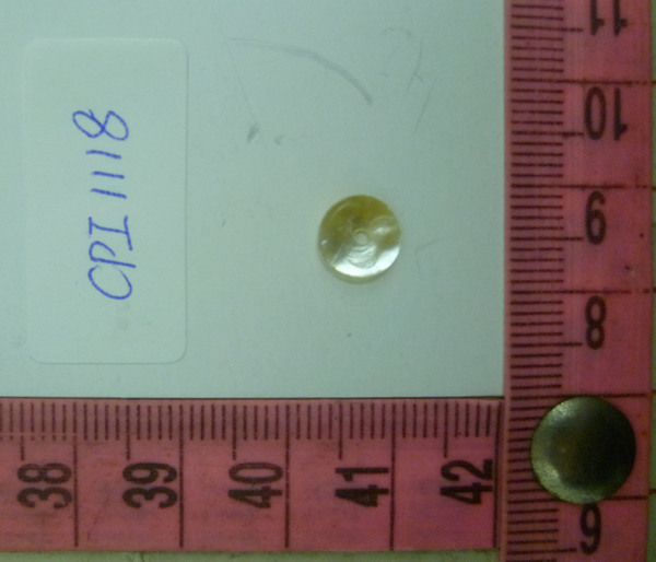CPI1118