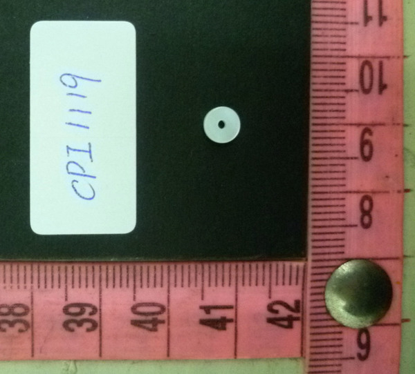 CPI1119